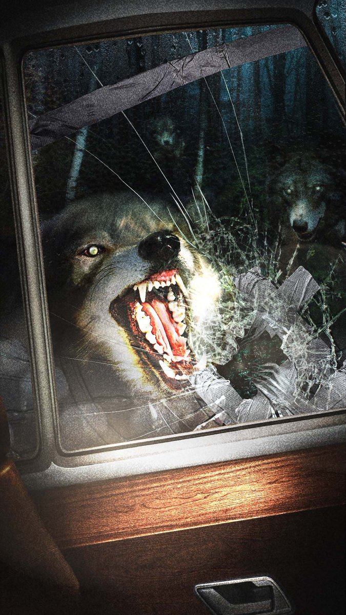 juwenji's tweet photo. Morgan's trapped in an RV surrounded by wolves? Is this real? #senderunknown #indiegaming #mystery https://t.co/rVWdNKfzfT https://t.co/sjPQLadRiL