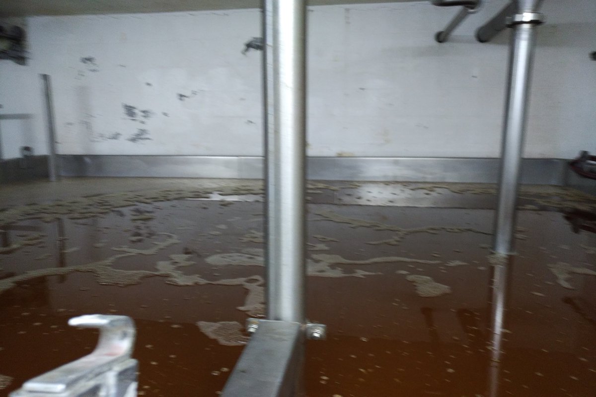 Thank you so very much <a href="/3Fonteinen/">3 Fonteinen</a> @AlvinneBeershop <a href="/lambiekfabriek/">Lambiek Fabriek</a>  <a href="/GueuzeTilquin/">Gueuzerie Tilquin</a> <a href="/BrouwersVerzet/">Brouwers Verzet</a> <a href="/LindemansBeers/">Lindemans Brewery</a> <a href="/HofTenDormaal/">Hof Ten Dormaal</a> (and Bokkereyder + Cantillon + Delvaux) for all of your warm hospitality and wonderful beers and advice on spontaneous fermentation! Truly amazing.