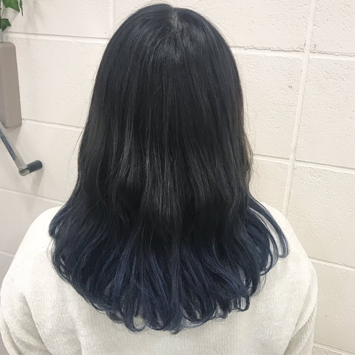 川畑晋也 原宿 美容師 ハイトーンヘアー Twitter वर ダークアッシュxネイビーブルーグラデーションカラー 毛先ブリーチ後に根元 中間は ダークアッシュにし 毛先はネイビーブルーでグラデーション 美容師 派手髪 原宿 グラデーションカラー インナーカラー 川畑晋也 原宿 美容師 ハイトーンヘアー Twitter वर ダークアッシュxネイビーブルーグラデーションカラー 毛先ブリーチ後に根元 中間は ダークアッシュにし 毛先はネイビーブルーでグラデーション 美容師 派手髪 原宿 グラデーションカラー インナーカラー