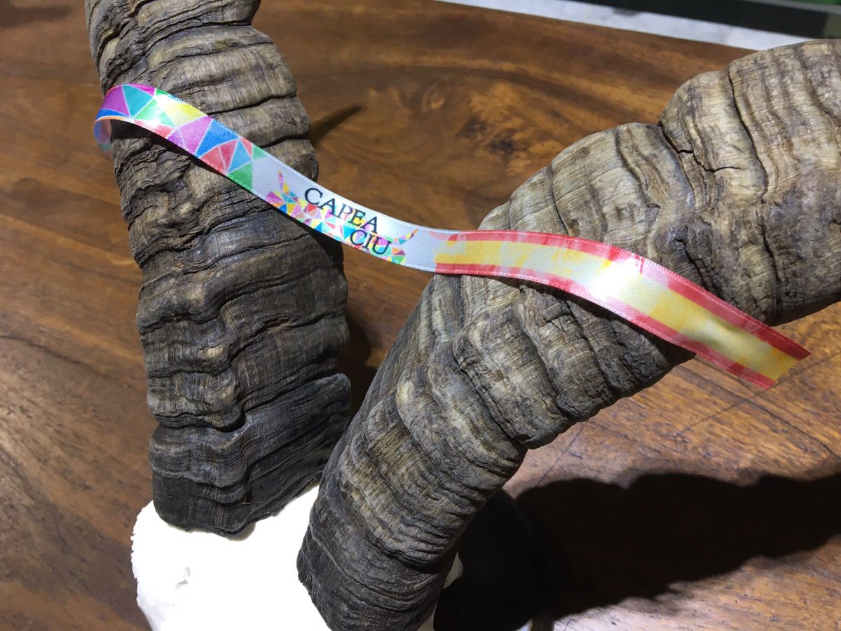 CapeaCIU tweet media