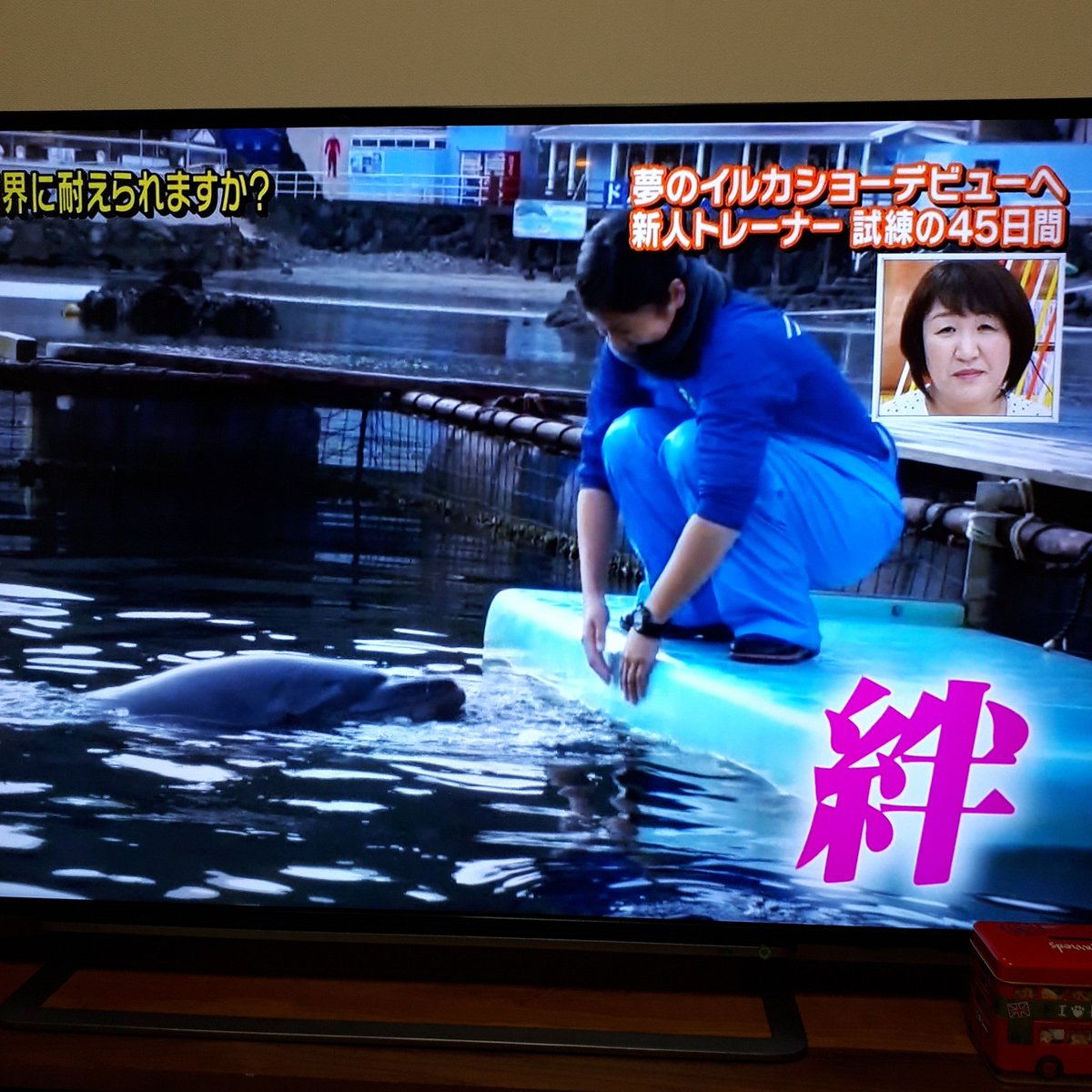 こんなキビシー世界に耐えられますか Twitter Search