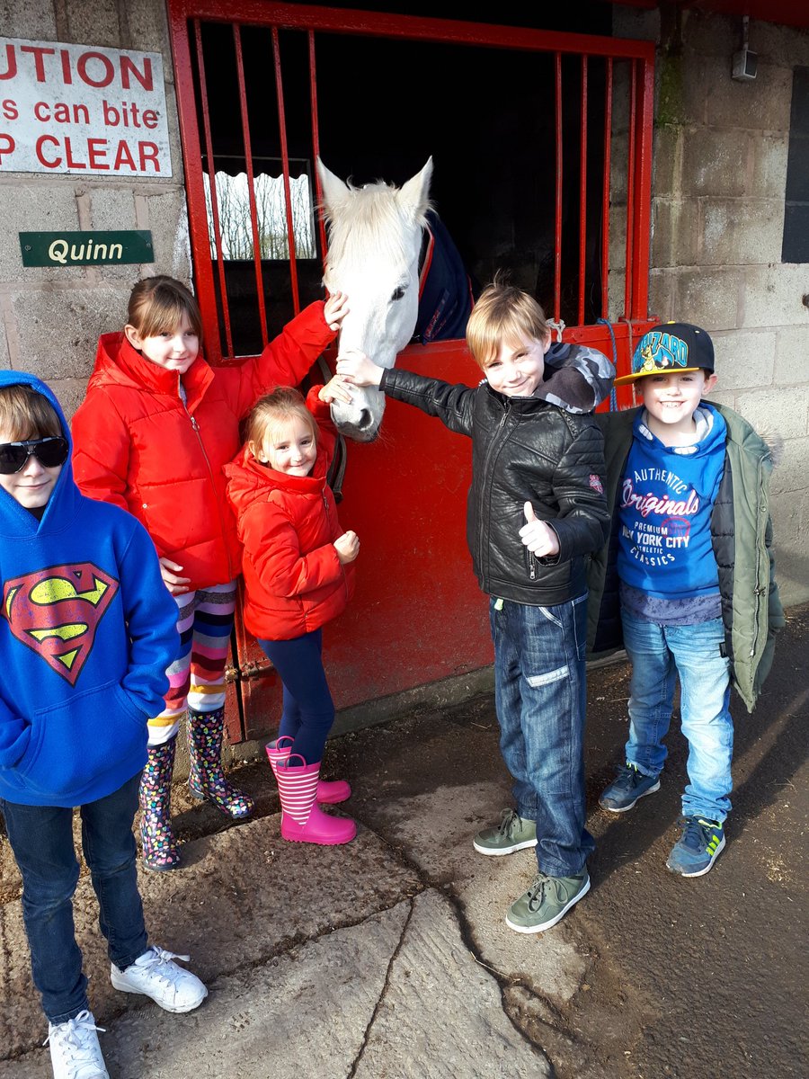 JSEquestrian's tweet photo. Our 1st visitors have arrived @ #jsequestrian open day https://t.co/XzEaa7AsNl