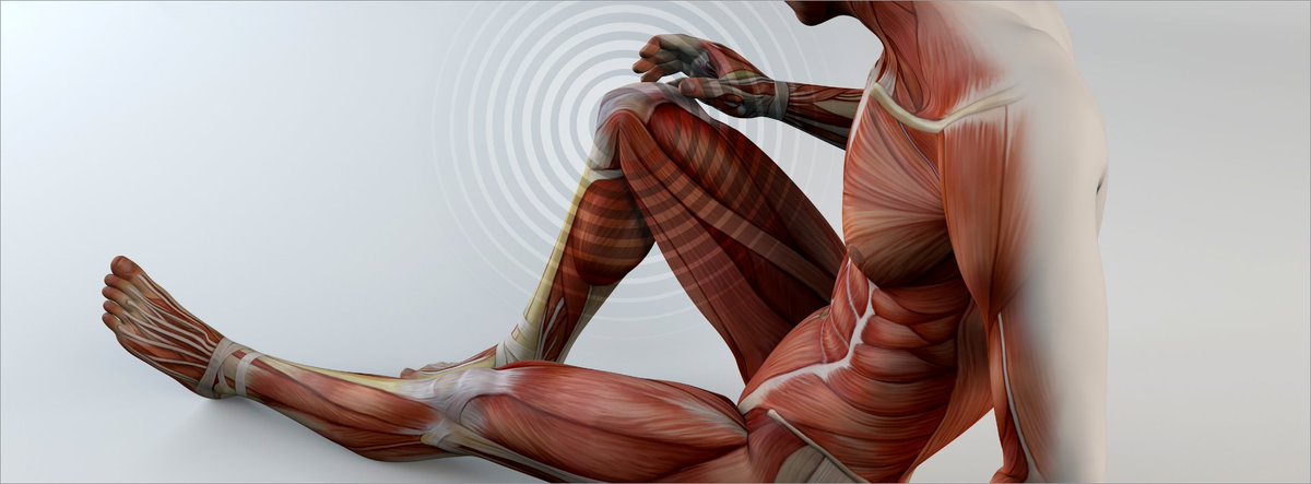 Claire_Minshull's tweet photo. How to REALLY rehab strength... Last 8 places remaining on #Strength &amp; #Neuromuscular  Conditioning for #Rehabilitation CPD course. #Nottingham 28th March @notts_physio @RogerKerry1 https://t.co/l5EJoJLZQN #physiotherapy #rehabilitation https://t.co/jmBDeUDe19