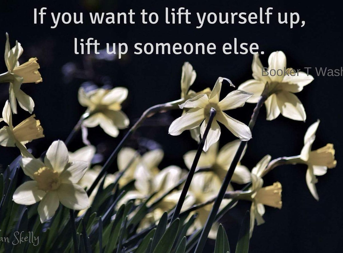 If you want to lift yourself up, lift up someone else #Compassion #inspiration #FridayFeeling #photography #BeKind