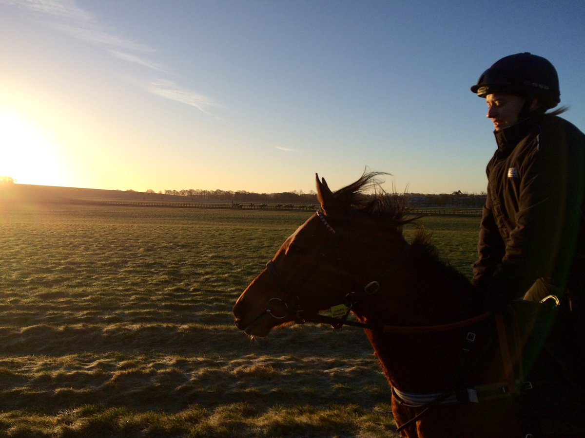 JohnWathenBerry's tweet photo. Frosty but beautiful start to what should be a lovely day @NewmarketGallop #WastedSunsets https://t.co/vVcTKZES3J