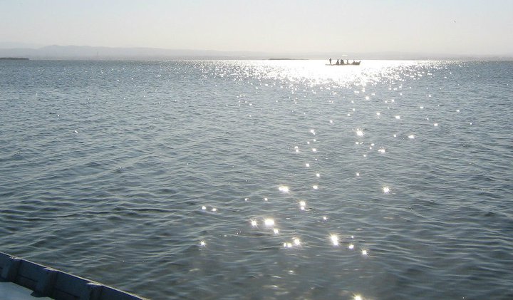 SerraAmunt's tweet photo. L'Albufera de València https://t.co/kAej2WG014