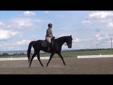 RideOnEventing tweet picture