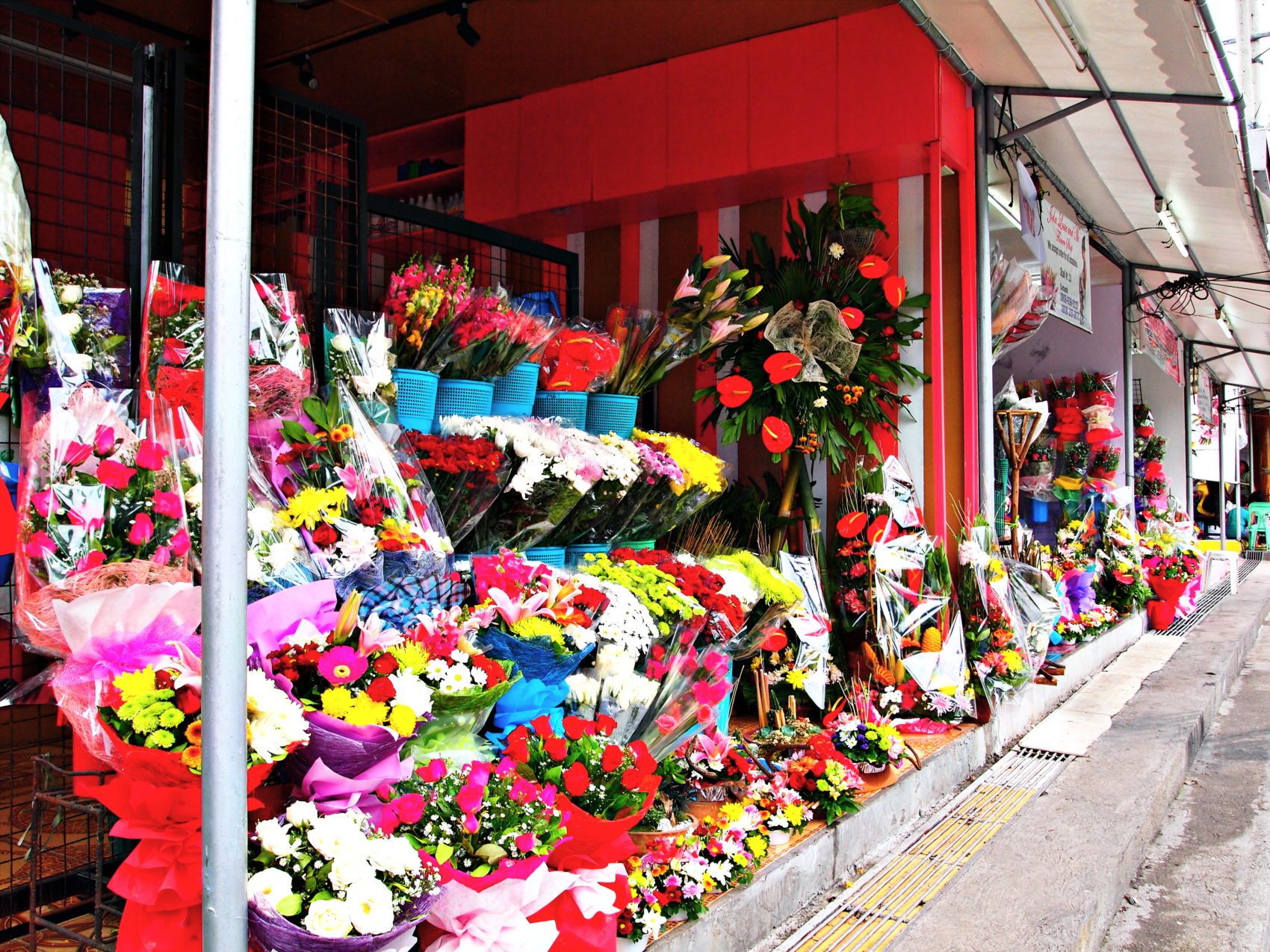 ムギハナ Twitter Search Twitter