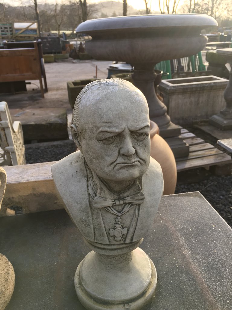 Rikki Gallop tweet media