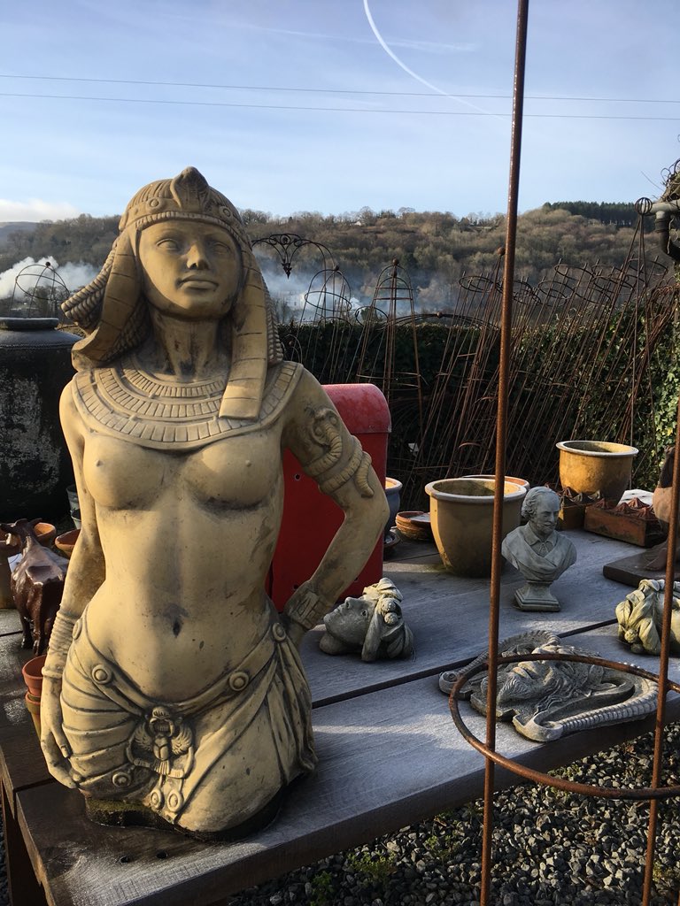 Rikki Gallop tweet media