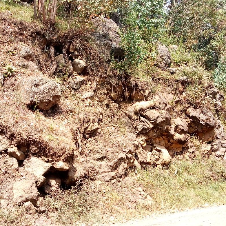 ardekubaho_rw's tweet image. Our team visited CAEPLA cooperative situated in the vicinities of @muhabura volcano in Cyanika sector. We discussed different potential projects especially in the areas of Water &amp;amp; Environment #projectidentification  #ruraldevelopment #cooperative #environment @RwandaNorth