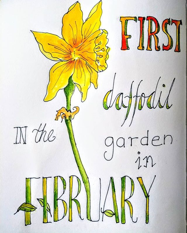 This year's first daffodil - found, hiding under my forsythia bush! #drawnintonature #daffodils #doodle #fauxcalligraphy #leuchtturm1917 #leuchtturm #noguidelines #wildlifegarden ift.tt/2GjNzZh