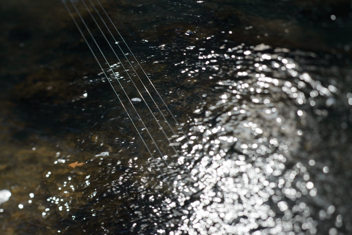 Land Harps // an acoustic underwater harp responds to the constant flux of landscape, a study of its pacing and intervals. By <a href="/davidandree/">david andree</a> thosewhomakewaves.com/home/2018/2/16…