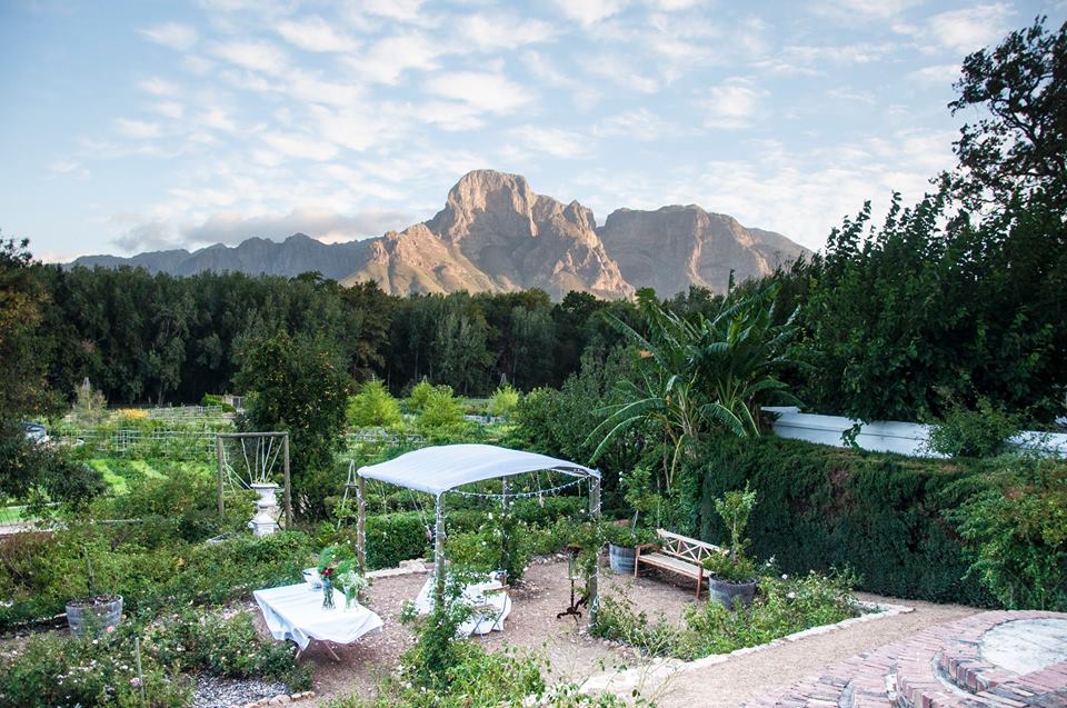 Winery Tours are such good fun and an absolute MUST when visiting Cape Town!  Spend a full day delightfully ‘tasting’ and dining your way through SA’s beautiful countryside.  MORE >> facebook.com/Peter2Travel/ #travelcounsellors  #luxurytravel  #wine  #winelover  #capewinelands