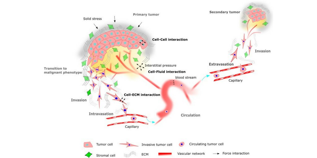UCL MechEng tweet media