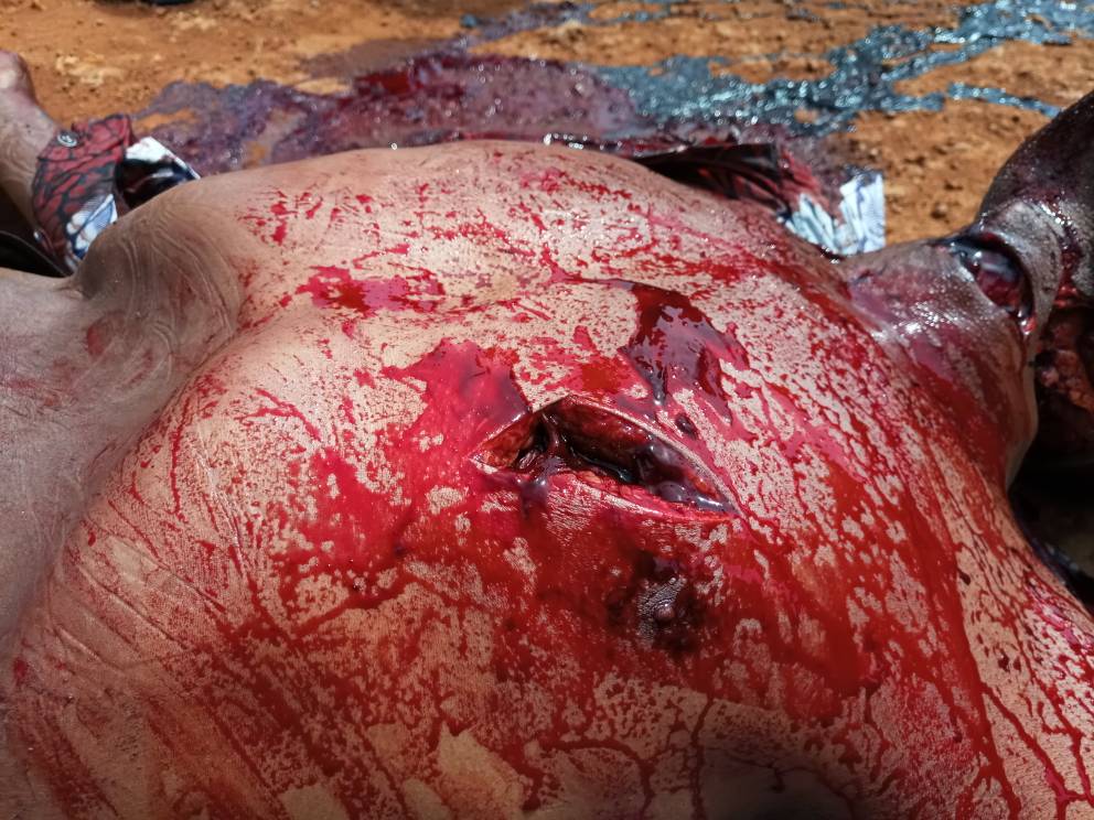 neffiang's tweet photo. Biya's military continues beheading #BritishS.Cameroonians, raping, torture, incarceration, summarily executions, looting, burning villages, etc & the world is mute. @innercitypress @LeahHardingAJE @hrw @RealKofiAnan @jeremycorbyn #FreeAllArrested #FreeSouthernCameroons https://t.co/ysEoBEPqQQ