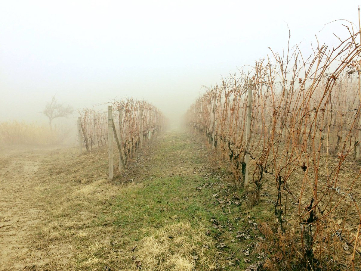 ☁️ Working in the clouds ☁️ #marcarini