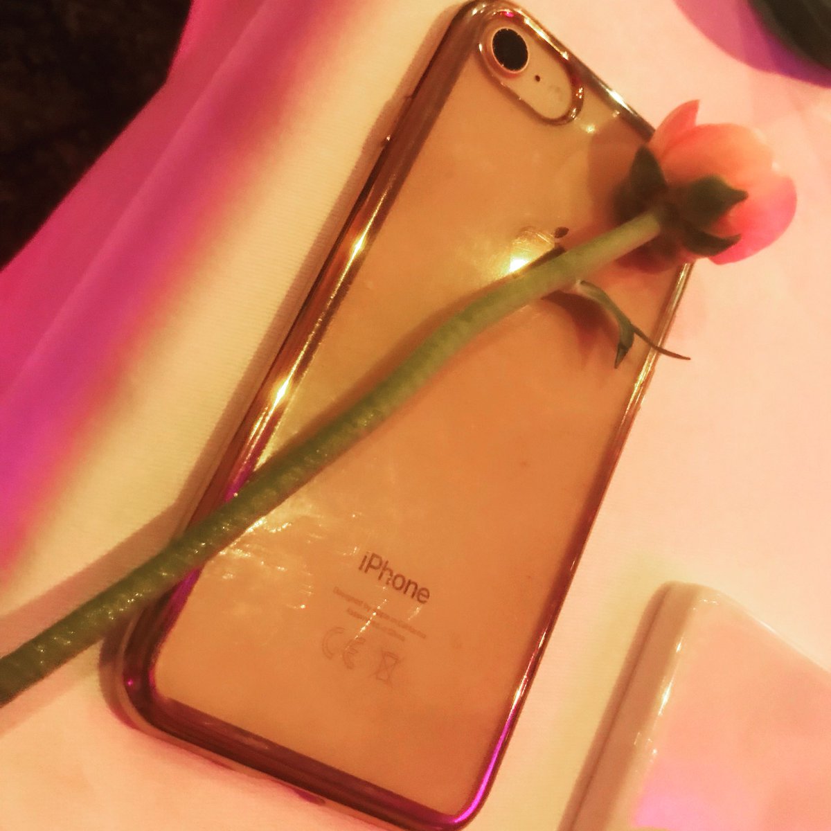 AudreyRochas's tweet photo. Love is in the iPhone! Pink rules and flowers bloom.
.~~~~~~~.
#Friday #FridayFeeling #Love #Amour #Pink #Rose #LadyBoss #iPhone #Flowers #PinkTech #StartUp #StartUpLife #Entrepreneur #Lifestyle #LifeInPink #MistressOfDigital https://t.co/XAeFSnilEq