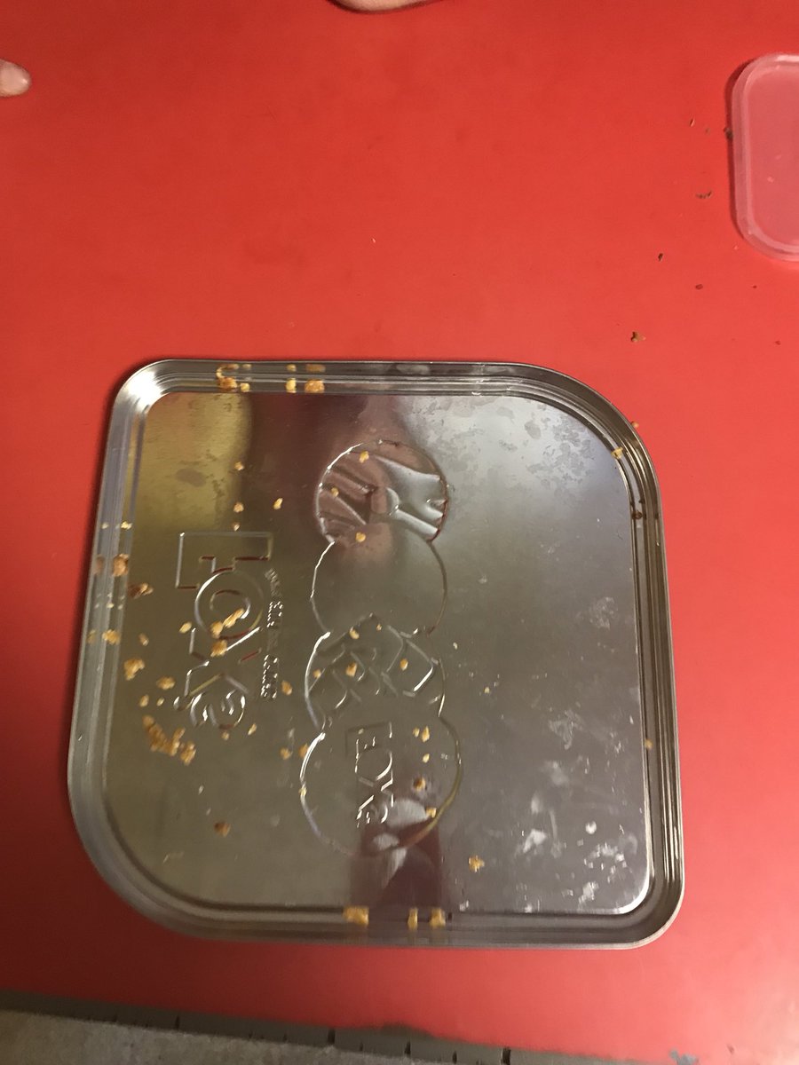 Ton Yr Ywen Primary tweet media