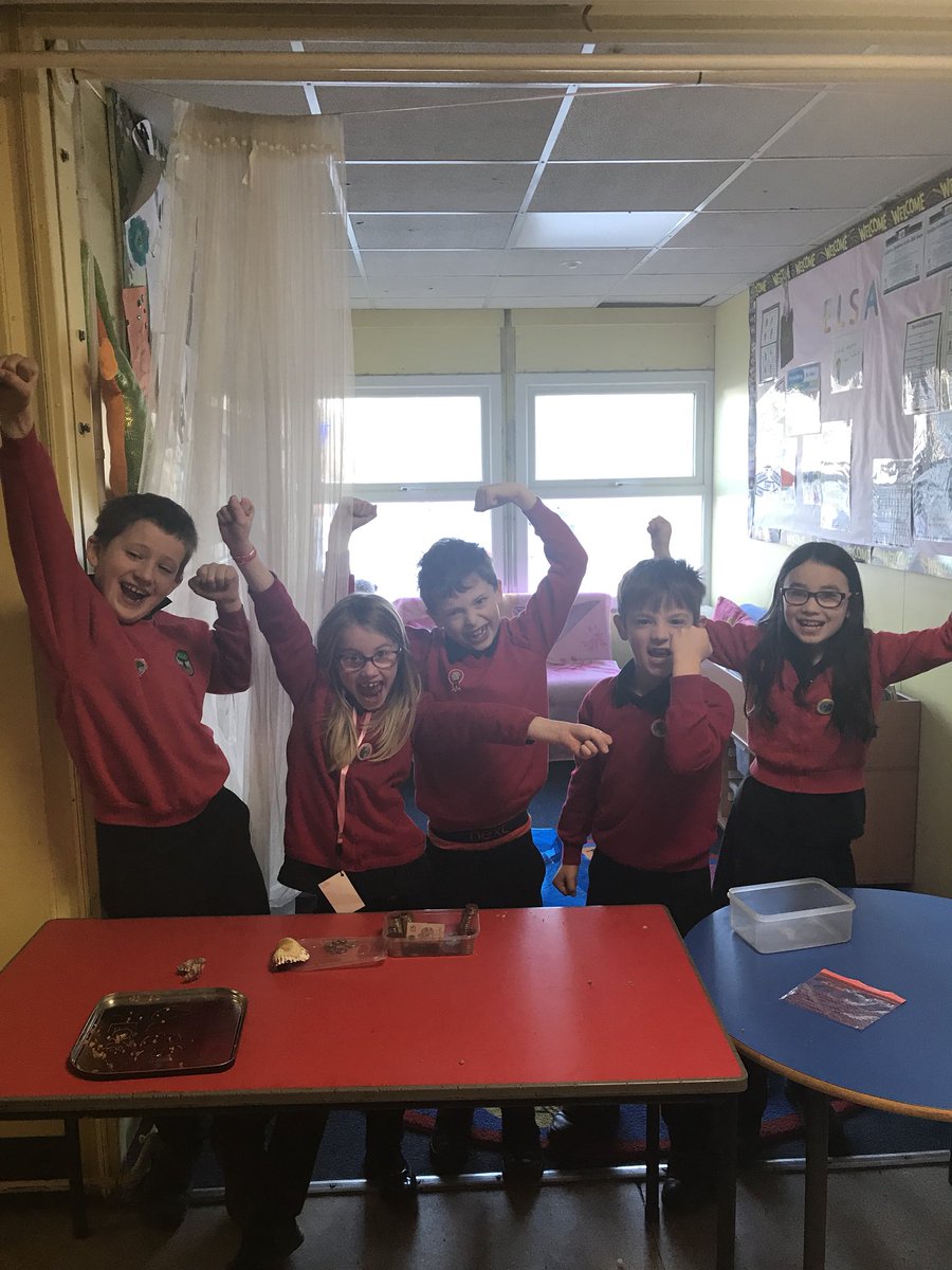 Ton Yr Ywen Primary tweet media