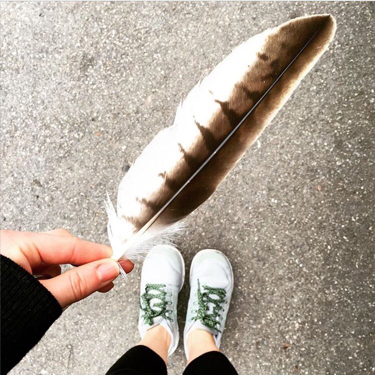 bravelotus_'s tweet photo. Why all the feathers? A question I always get asked - now on the blog https://t.co/Yz6iWViX6o #feathers #FridayFeeling #brave https://t.co/l63hZWWaq0