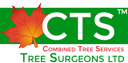 RoyalCornwall's tweet photo. We're very excited to welcome @CTSTreeSurgeons as sponsor of The Combined Tree Services Countryside Area at this year's Royal Cornwall Show. The Countryside Area is a fascinating part of the show, pop by and say hello to them at the show. #RCS18 https://t.co/IvTzFaeh3q