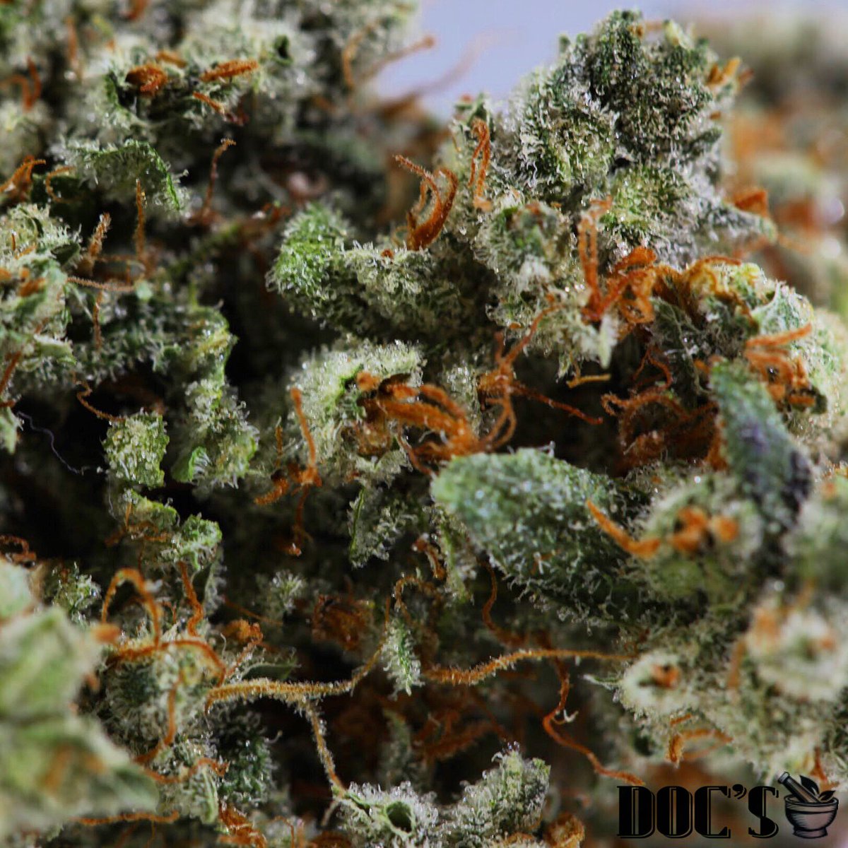 T(GRAM)IF 🙌🎇🎉
Thank Gram It's Friday!
💚💚💚
💥Recreational Bud on SALE 💥TODAY!
🛍Pick up a Gram or two of your favorite strains <a href="/DocsApothecary/">Doc's Apothecary</a> 
#mmj #Denver #northglenn #weed #weedfeed #DANK #weedfeed #CannabisCommunity #cannabisculture #Olympics #ChineseNewYear #Medical