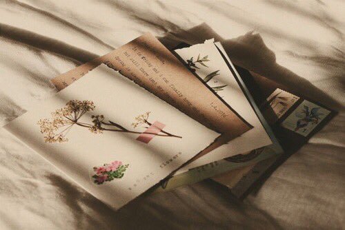 poteassium's tweet photo. ❝  Before I fell in love
     with words and books,
     it was you that
     I fell in love with first.  ❞

#CaratSelcaDay #17CaratSelcaDay https://t.co/FNh55TNUGF