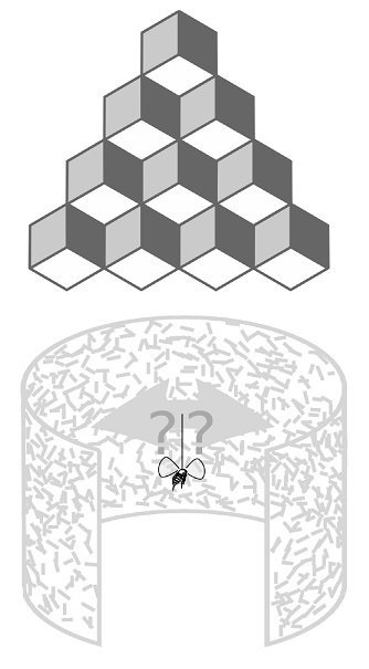 PLOSBiology's tweet photo. Like a human staring at a #NeckerCube, new study shows that a #FruitFly is also a "multi-#StableGenius" when it comes to ambiguous stimuli #PLOSBiology https://t.co/BOhKiiwA42 https://t.co/Nw8QBbsnfi