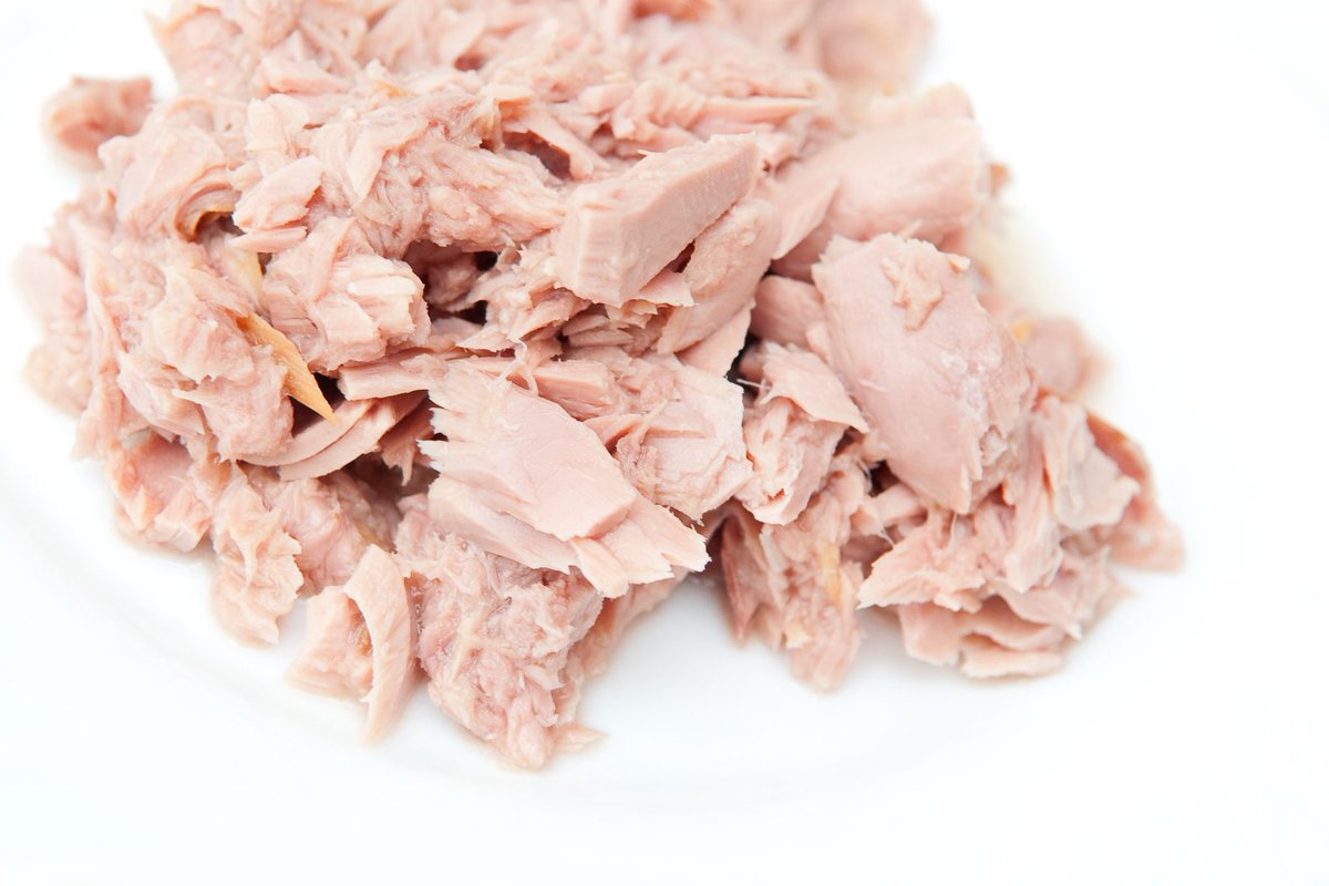 eatcolour's tweet photo. it’s Friday 

It’s Lent

we got you covered...

new premium protein = tuna https://t.co/QGeuY4rJlg