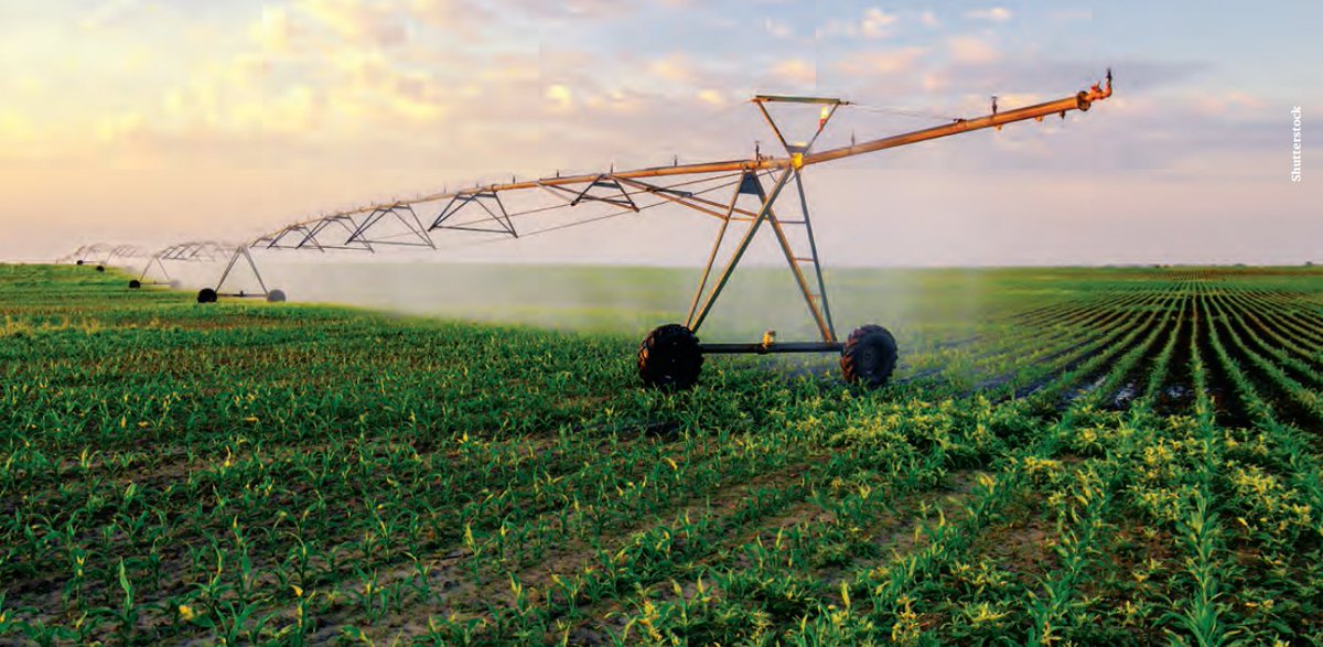irrigoias's tweet photo. Tem água para mais irrigação? Segundo o Atlas Irrigação da ANA, a atividade utiliza apenas 20% da área potencial existente no Brasil e pode chegar a 10,09 mi de hectares irrigados em 2030 | https://t.co/oUe5eMZQwf #aquitemagro https://t.co/paRmJmSac3