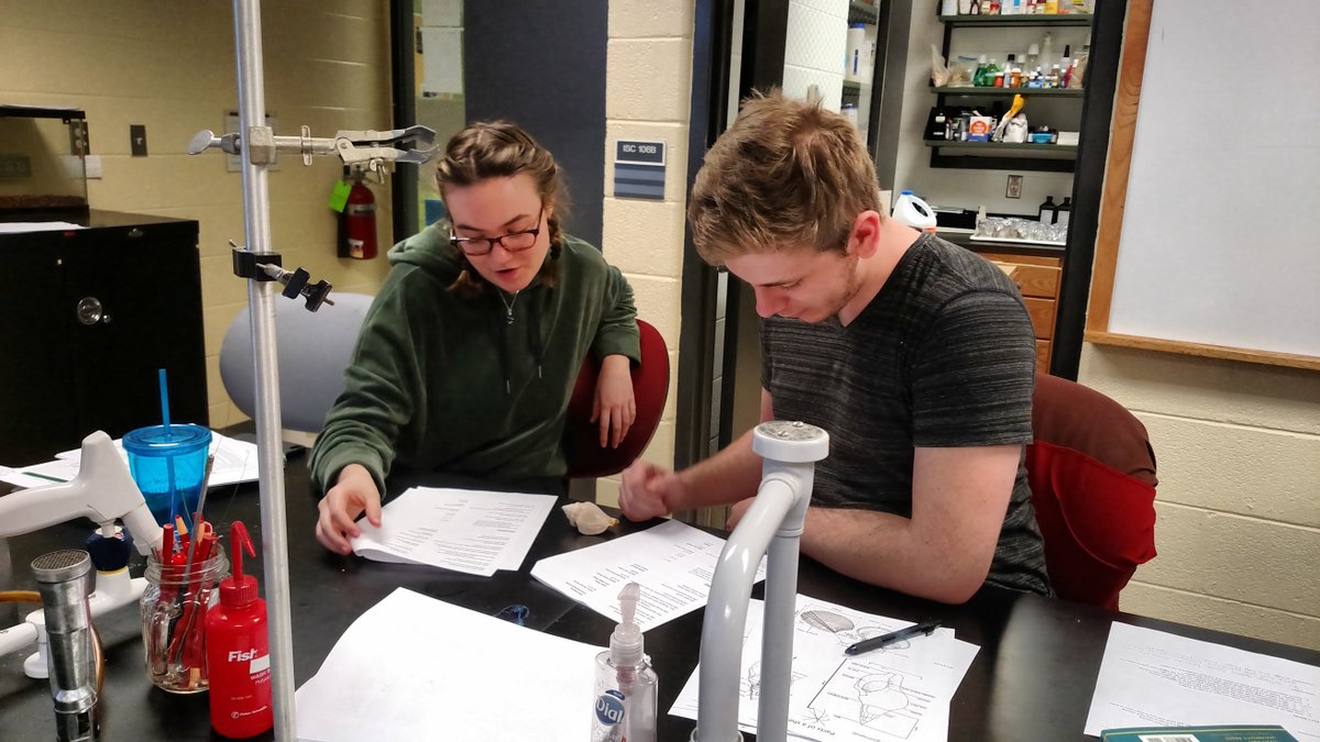 AnneDunham's tweet photo. @VHCC Coastal Ecology students identifying shells in preparation for their week of experiential learning at @GCRL1 . https://t.co/LzR4PV5EdK