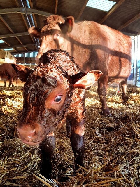 That time of the week again, welcoming new members to the family #seriousjockin #seriouscalvin