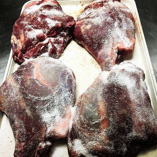 elements princeton tweet media