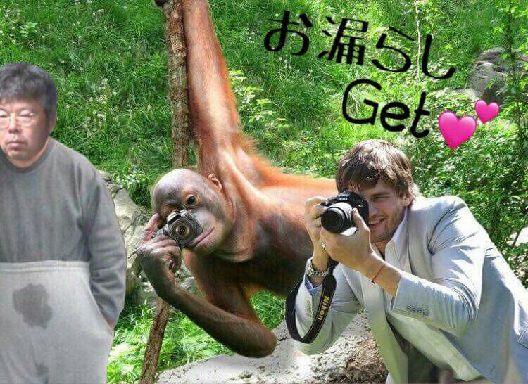 Selly5298's tweet photo. @champ76998475 @nyanmalu2 @dog1cats6 恥ずかしい(///∇///) https://t.co/WdhT6vDtJK