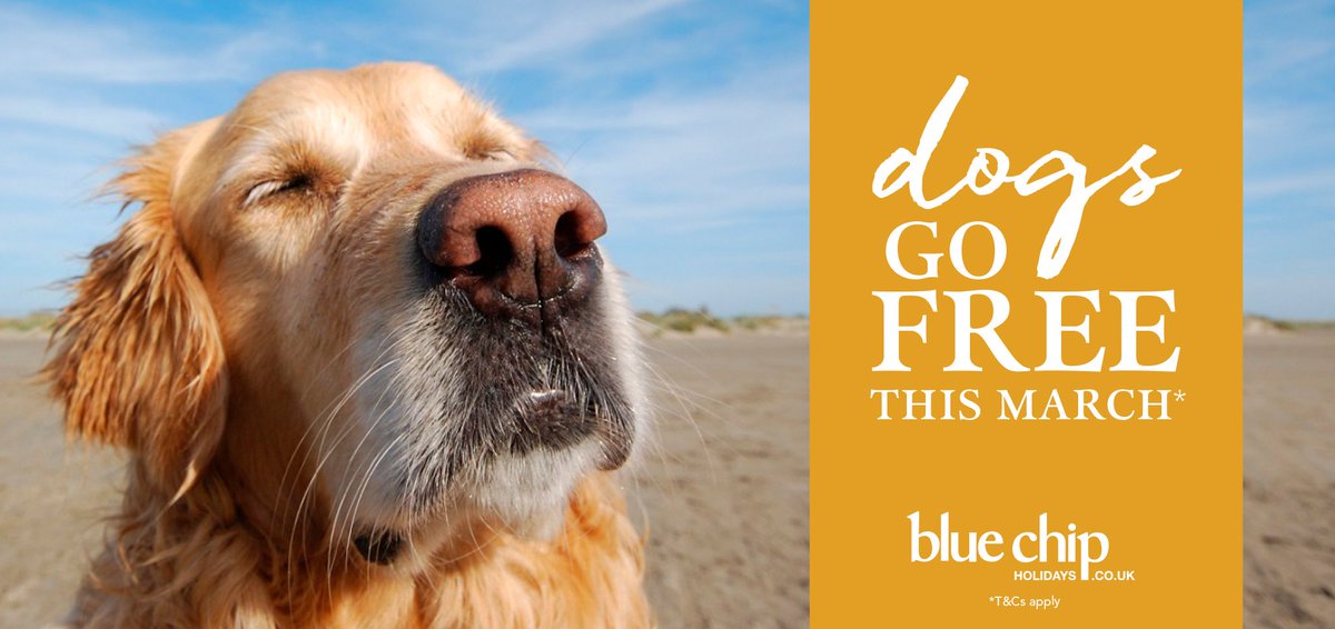 It's officially the year of the dog, &amp; you can bring your four-legged friend along free this March 🐶. Call 0333 331 7097 to book goo.gl/asfktt #YearOfTheDog #YearoftheDog2018 #sobluechip #dogfriendly