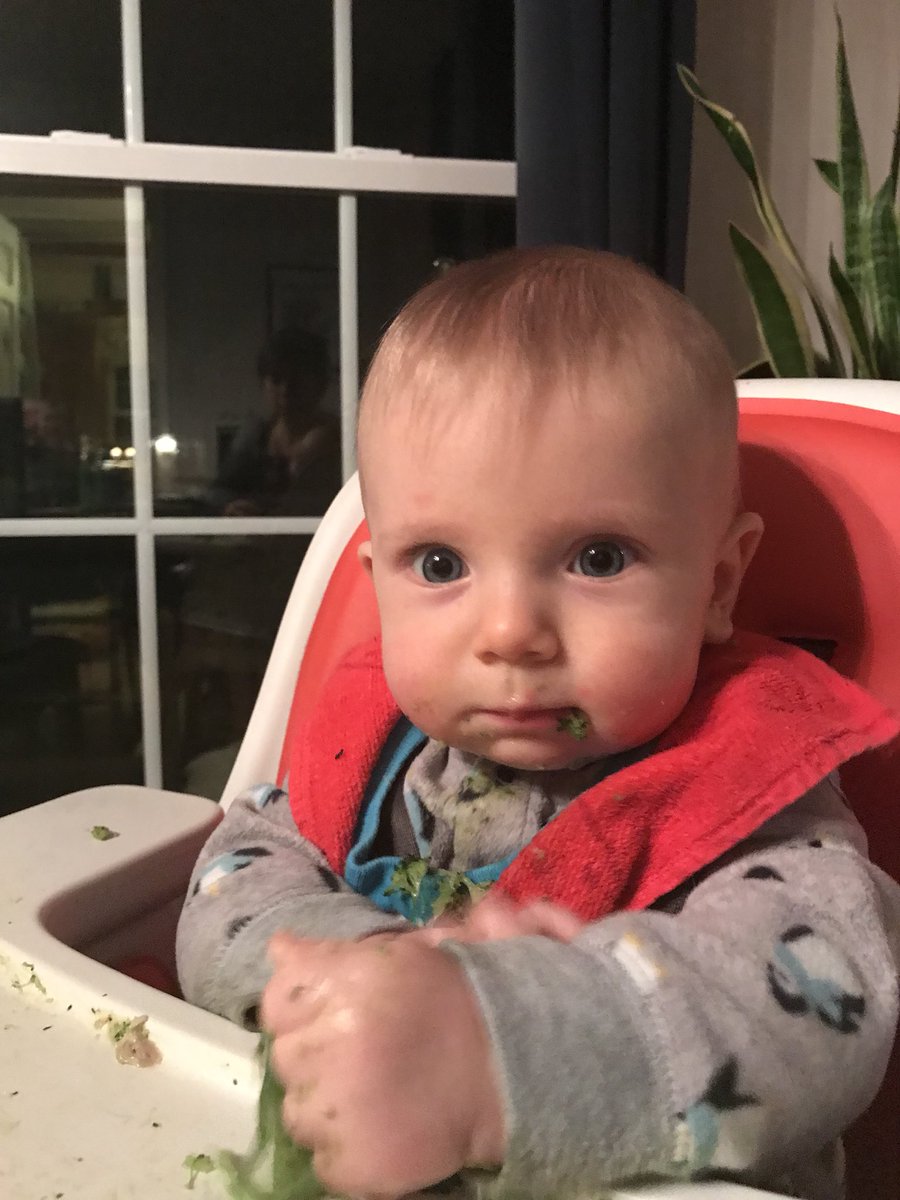 SammyOSchultz's tweet photo. Broccoli, yo! 🥦 https://t.co/54IS6RLOA0