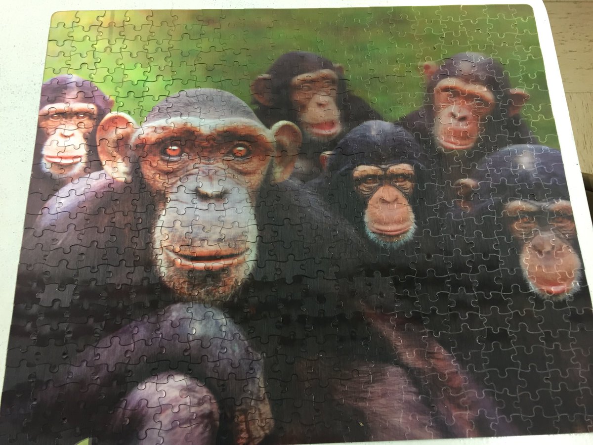 6th graders conquered this shimmering Lenticular puzzle and are hooked! #yellinwtd