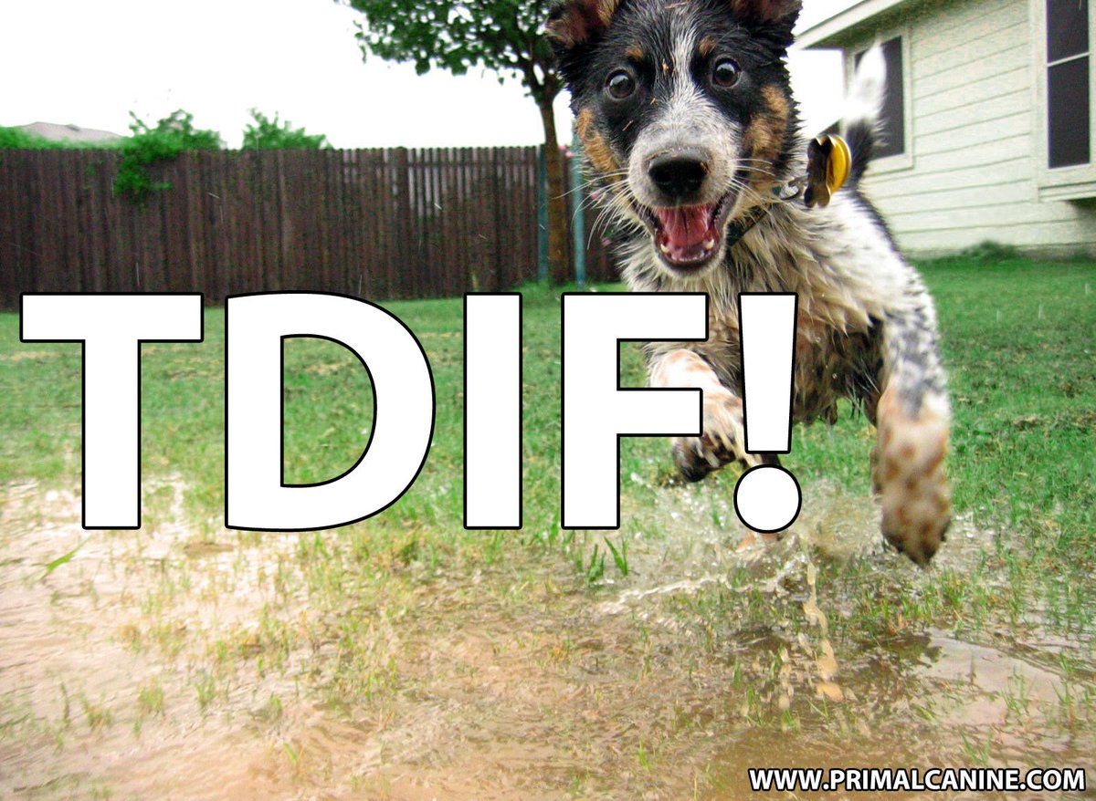DogWatchTC's tweet image. Thank dog it's Friday!