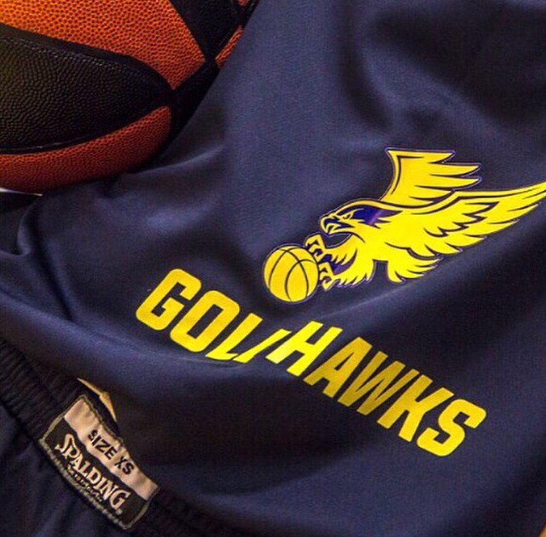 NBLengland's tweet photo. NBL SOCIAL MEDIA TAKEOVER

This weekend, NBL Club @GoldhawksHoops will be taking over our social media across the board. Please get involved. Ask questions, share stories and your pictures along with videos. Learn more about GoldHawks 

#NBL1718 

#BritishBasketball https://t.co/8NPYVXRRsU