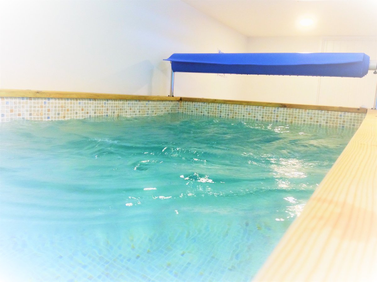 websterpools's tweet photo. The Tri Pool #Resistancetraining #swimmingpool #Spa #Swimspa  https://t.co/crgYu7HtW0  Bespoke Liner Pools #Cornwall Call 07828697916 
Fully Installed for £10950. https://t.co/kRHtRJpyUF