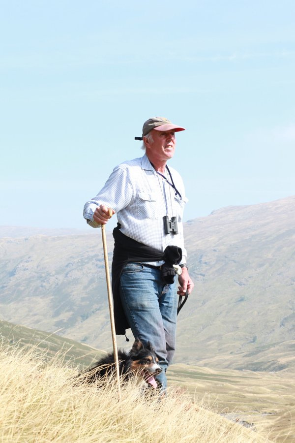 Dedicated herdwick shepherd Joe surveying the fell. bantamfilms.com/a-dog-and-a-st…  #LakeDistrict #Cumbria #Documentary #Filmmaking