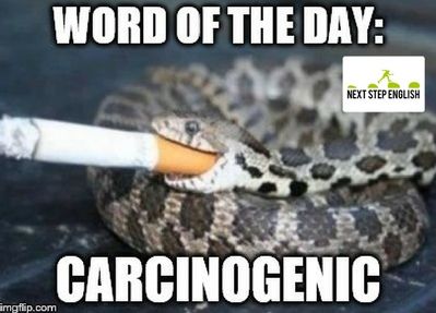 NextStepEnglish's tweet photo. carcinogenic: likely to cause cancer

👉 Don't miss out on our weekly #WOTD quizzes! Join our email family! https://t.co/kieEHXtAJG 👉👈

#LearnEnglish #อังกฤษ #anglisy #Îngilîzî #English #Englisch #Engels انگلیسی# #Vocabulary https://t.co/2rwTaCJXS5