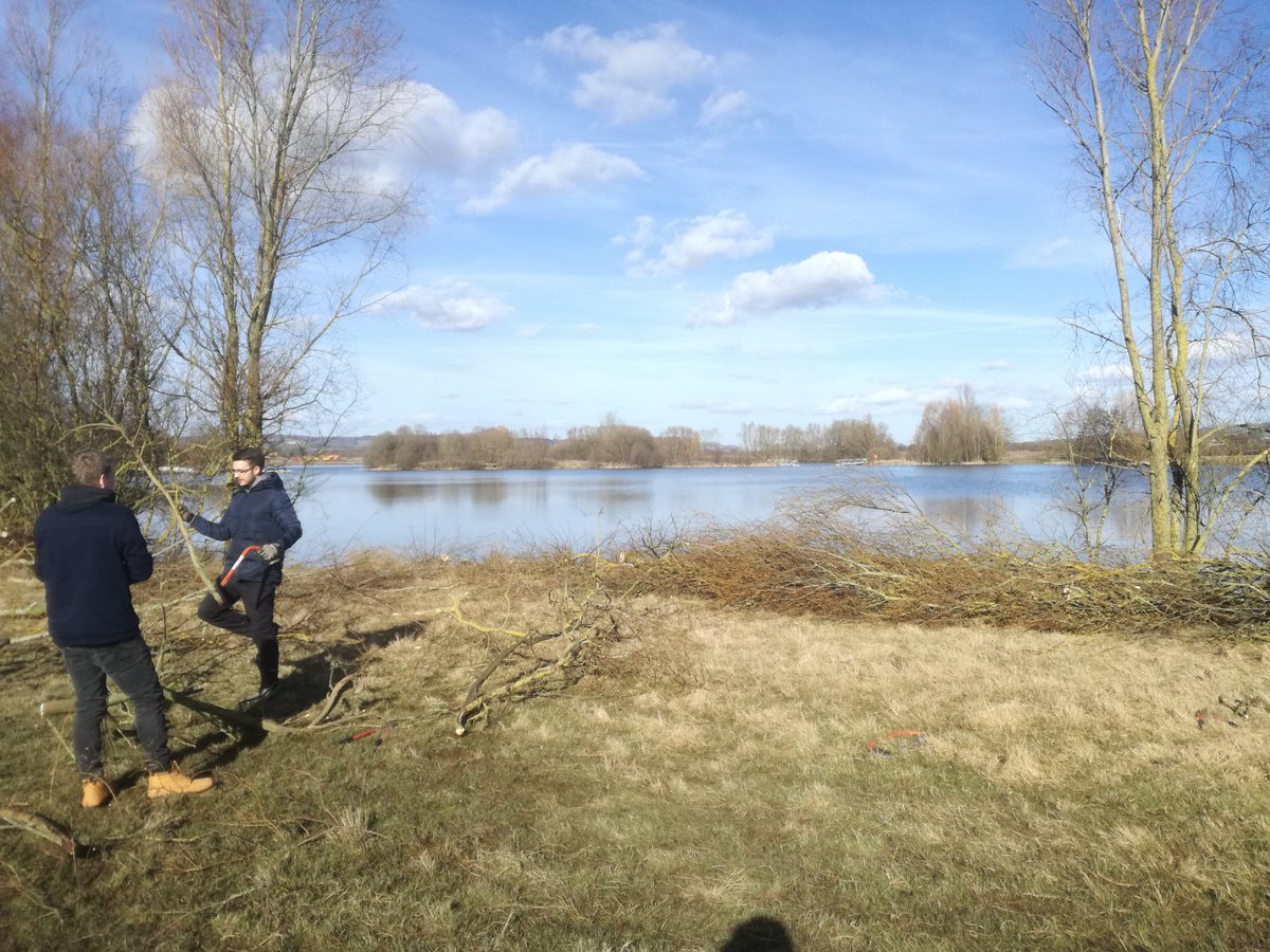 Last of the lakeside coppice at <a href="/Conningbrook/">Conningbrook Lakes</a>. Beautiful day with the <a href="/KentWildlife/">Kent Wildlife Trust</a> Friday volunteer team