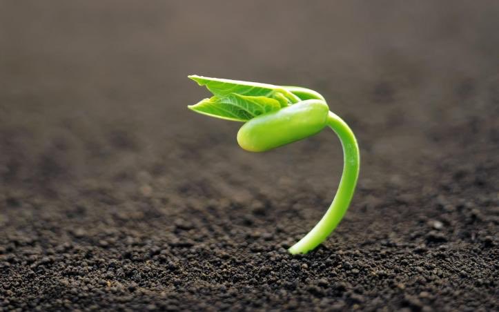 CoFoundersChris's tweet photo. “The best time to plant a tree is 20 years ago, the second best time is today.” If you’ve delayed getting into #crypto, or doing anything big for that matter, today is the best time. https://t.co/wMryQ44G0h