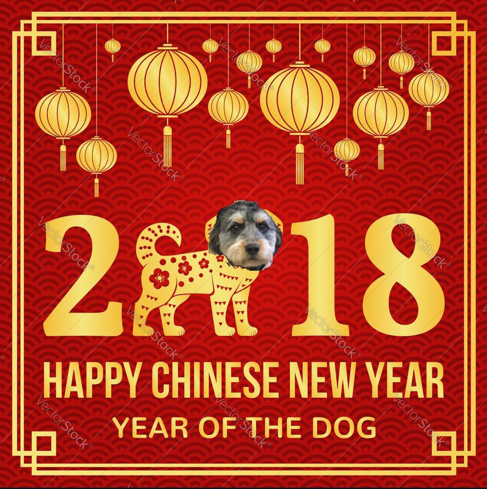 Happy New Year #ps145! Love, Lux 🐶 <a href="/nycschools/">NYC Public Schools</a> <a href="/NycDistrict3/">@NycDistrict3</a> <a href="/followcsa/">CSA</a> #comfortdognyc