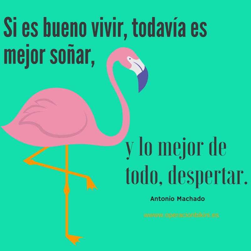 Escuela Numerología (@soynumerologia) on Twitter photo 