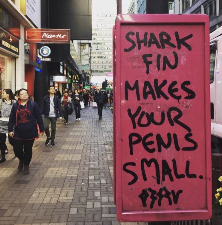 Small is your penis Life With