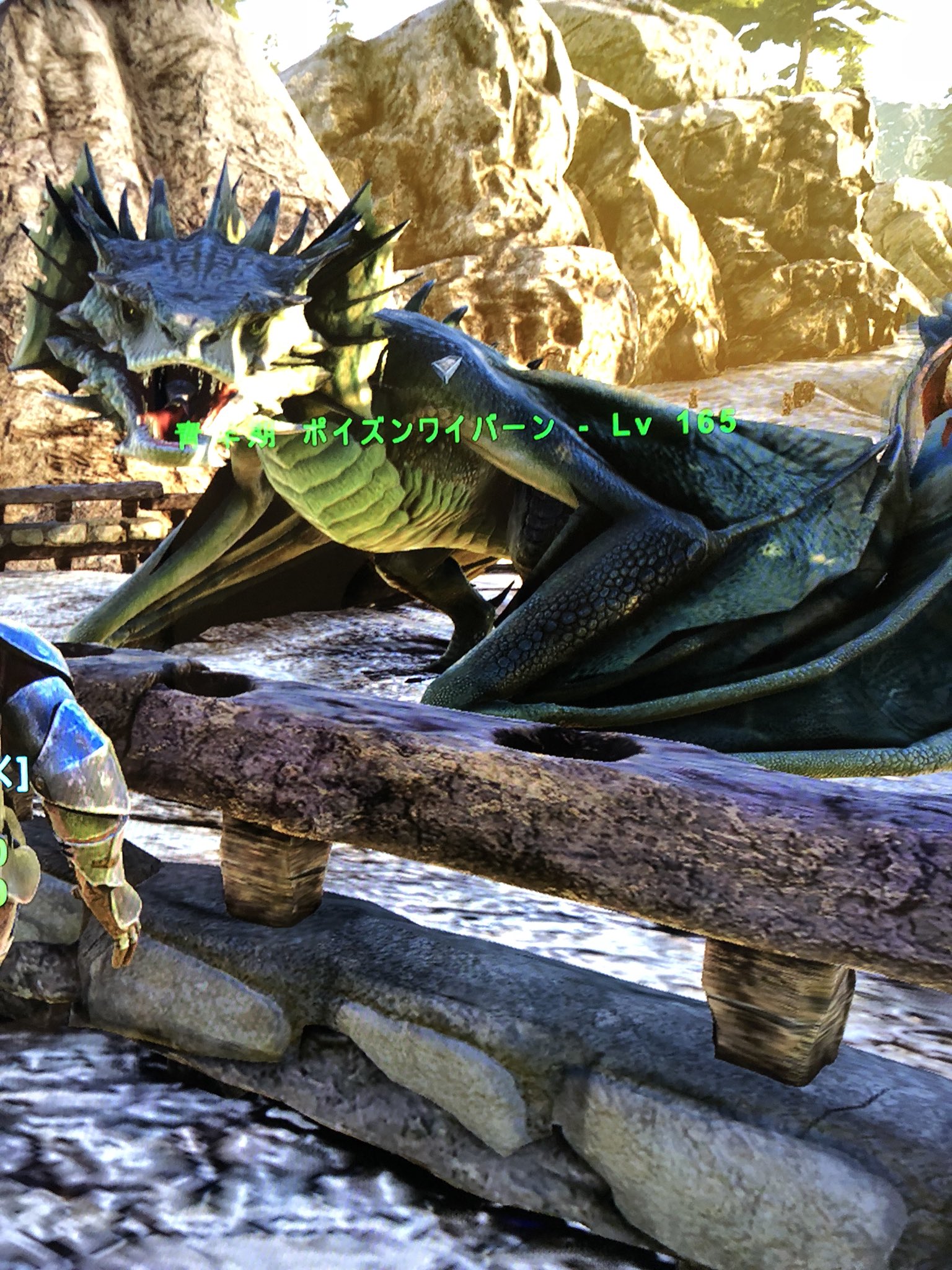 Pc Ark Pve ワイバーン 実績34 Twitterren ポイズンワイバーンlv175成体になりました 刷り込み100 です Lv165のポイズンも育成中で今夜には成体になります こちらも刷り込み100 になります どちらも3000円です 欲しい方dmどうぞー Ark ワイバーン