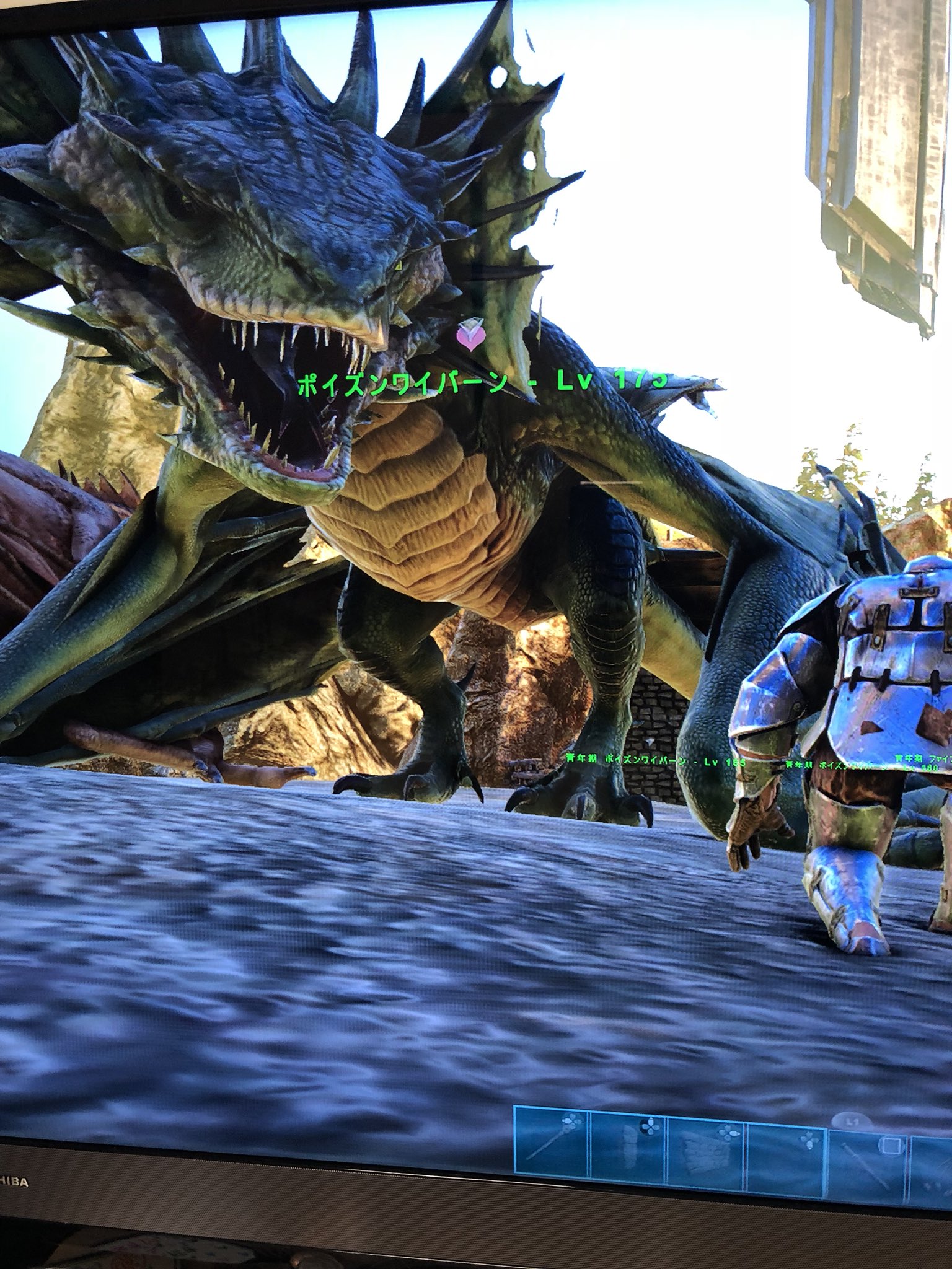 Pc Ark Pve ワイバーン 実績34 Twitterren ポイズンワイバーンlv175成体になりました 刷り込み100 です Lv165のポイズンも育成中で今夜には成体になります こちらも刷り込み100 になります どちらも3000円です 欲しい方dmどうぞー Ark ワイバーン Pc Ark Pve ワイバーン 実績34 Twitterren ポイズンワイバーンlv175成体になりました 刷り込み100 です Lv165のポイズンも育成中で今夜には成体になります こちらも刷り込み100 になります どちらも3000円です 欲しい方dmどうぞー Ark ワイバーン